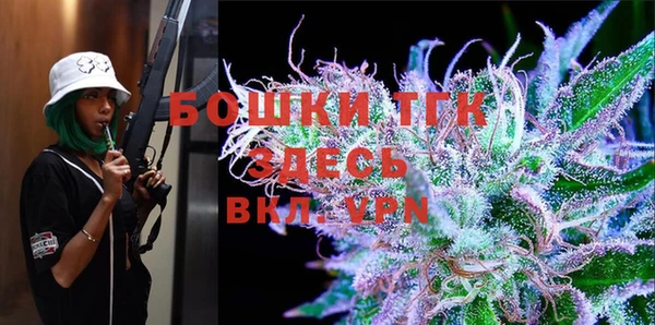 стаф Осташков
