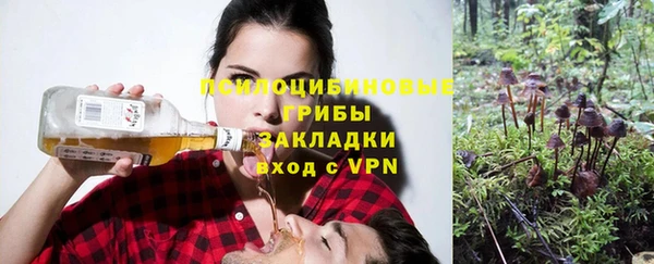 экстази Алексин